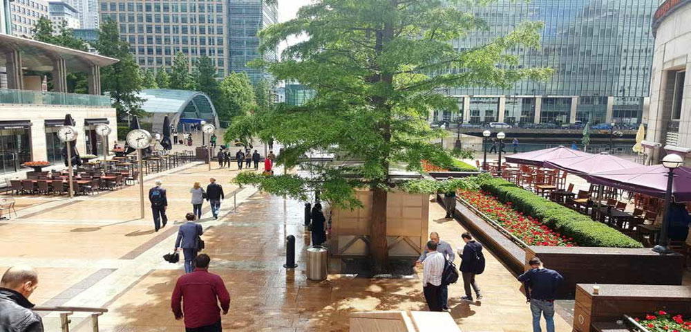 Lodha Codename Must Have